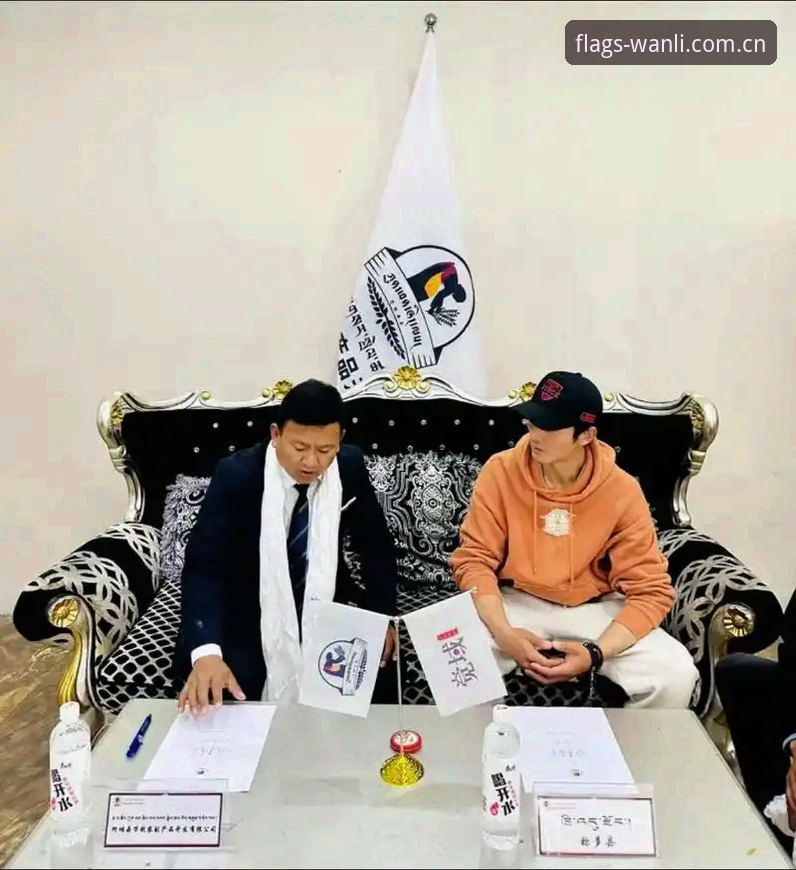 万利体育平台赛事数据使用指南：一场来自何佳的数据利用率实验